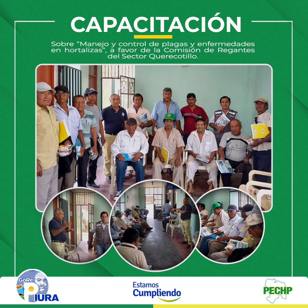 capa 1