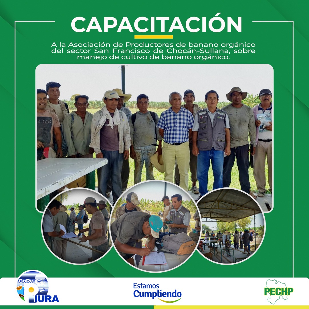 capa 2