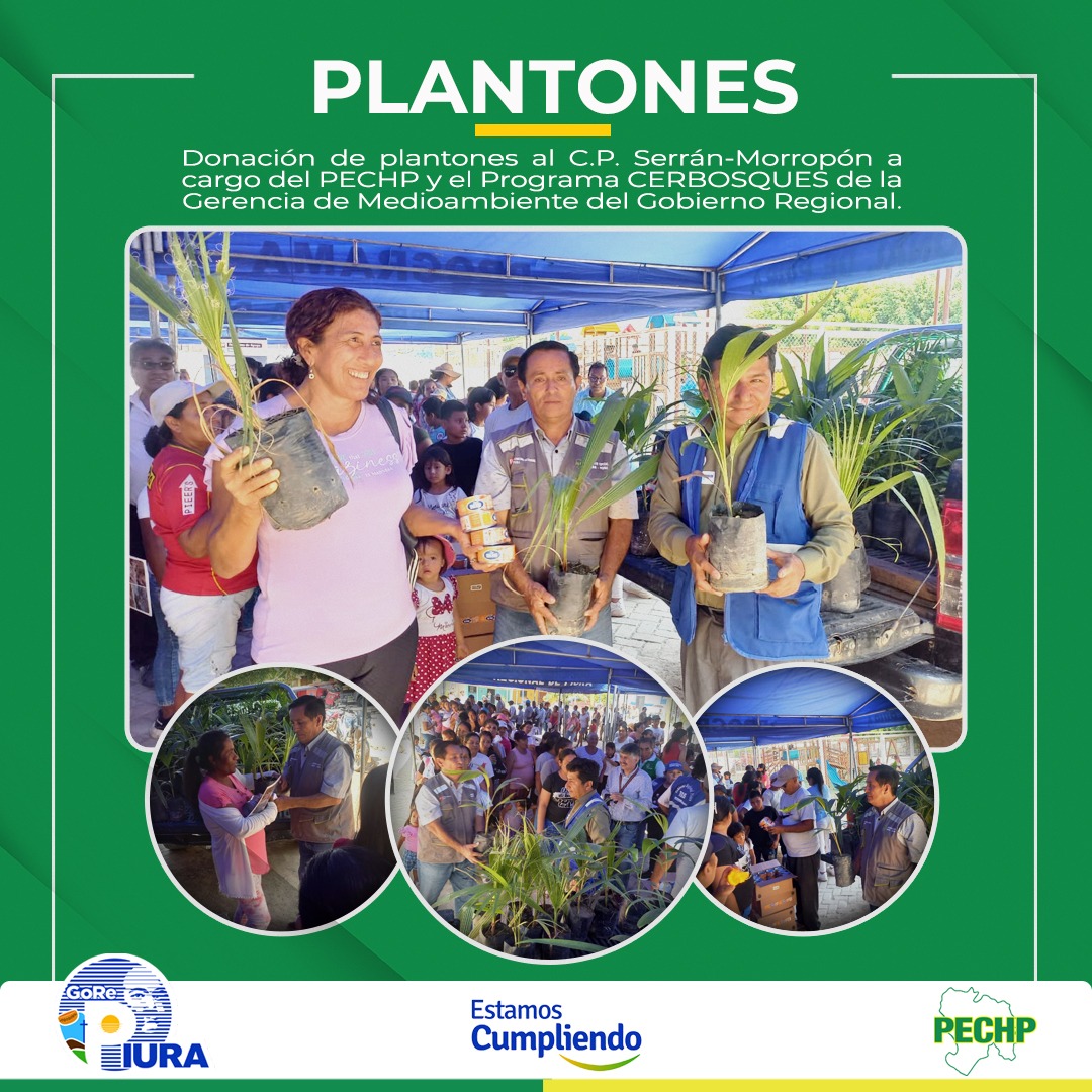 capa 3