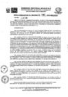 Vista preliminar de documento RGR0040-2023-GRDE