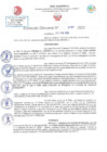Vista preliminar de documento RD N 797