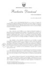 Vista preliminar de documento Resolución Directoral No. 317-2023-MINEM-DGH