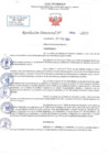 Vista preliminar de documento RD N 800