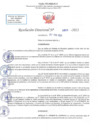Vista preliminar de documento RD N 801
