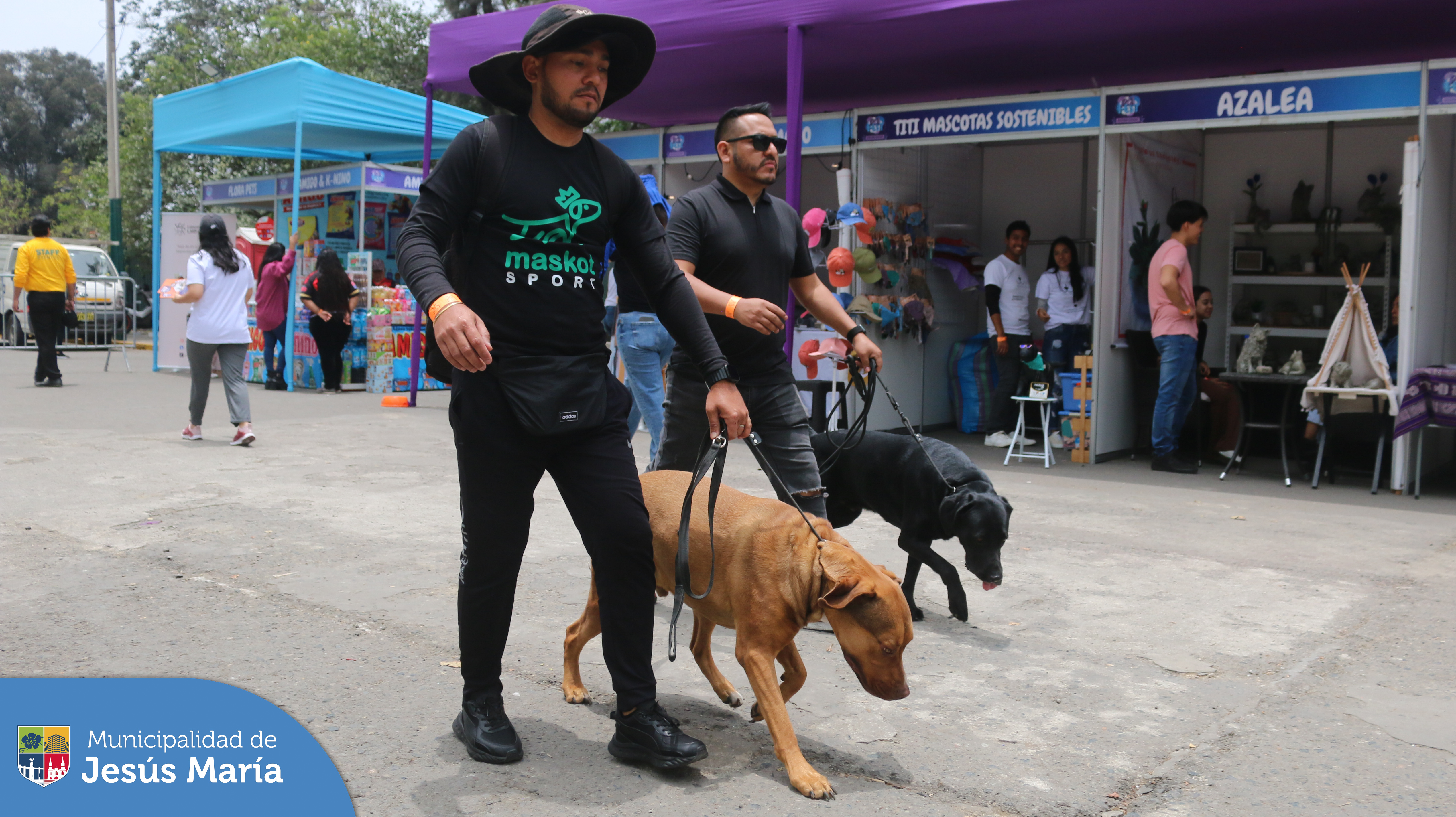 📸 ¡Así se vivió el Pet Fest en nuestro emblemático Campo de Marte! 🐩🐕
Los asistentes conocieron a expertos en cuidado animal, disfrutaron de demostraciones sorprendentes y encontraron los productos más innovadores para consentir a sus compañeros, 🐕🐾 además bailaron al ritmo de las presentaciones de asombrosos artistas 🎙️.
