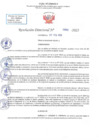 Vista preliminar de documento RD N 802