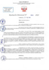 Vista preliminar de documento RD N 803