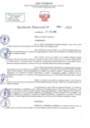 Vista preliminar de documento RD N 804