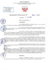 Vista preliminar de documento RD N 809
