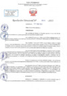 Vista preliminar de documento RD N 811