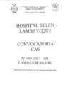 Vista preliminar de documento BASES DE CONVOCATORIA CAS 003-2023