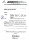 Vista preliminar de documento OFICIO MULTIPLE N 439