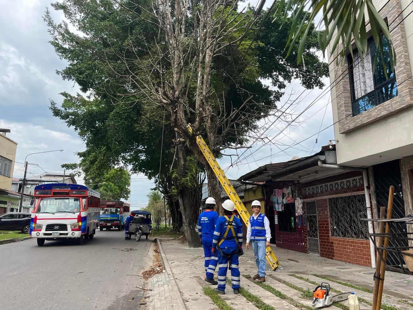 Maynas retira árbol que representaba un peligro para vecinos