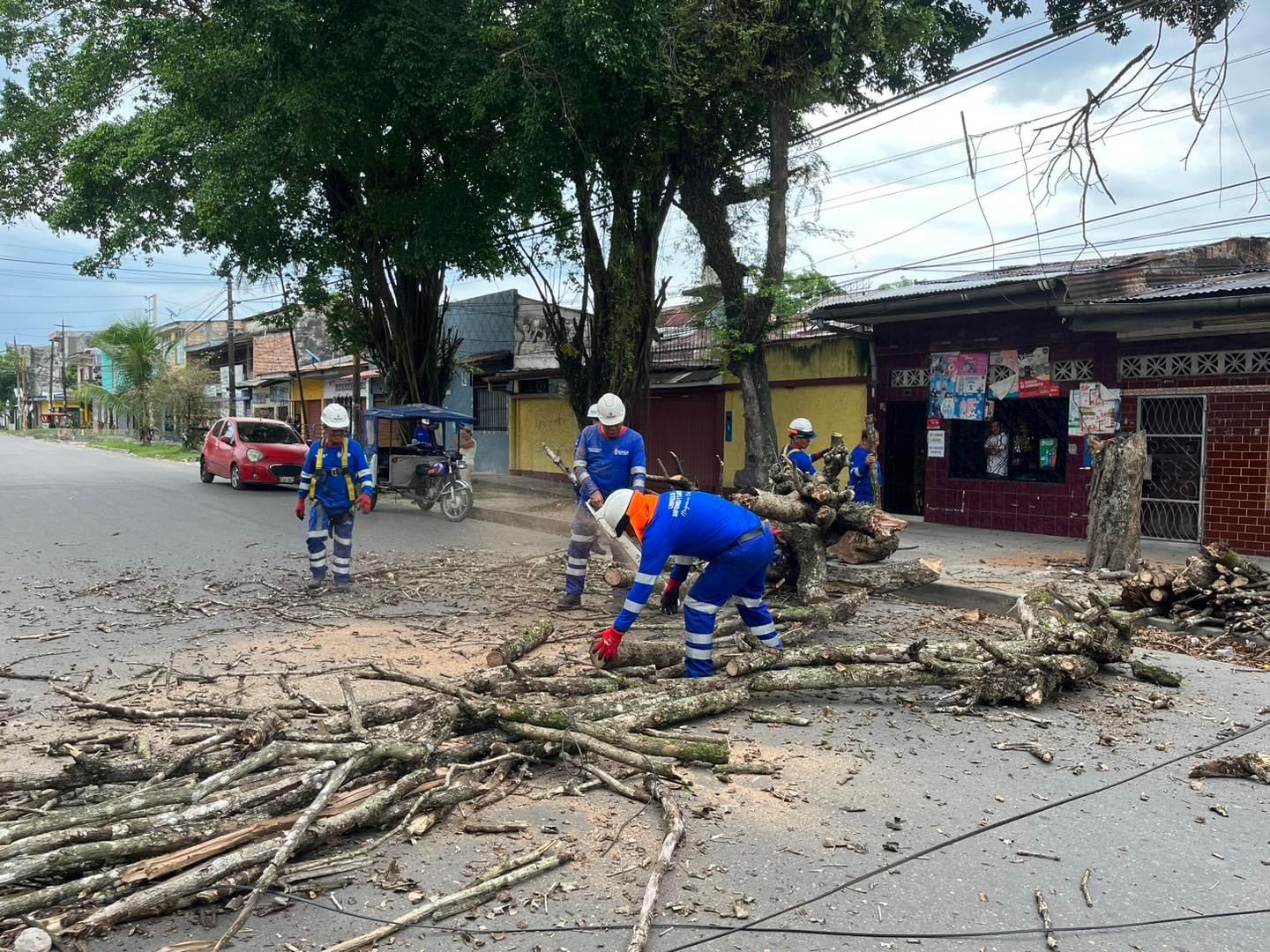Maynas retira árbol que representaba un peligro para vecinos
