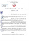 Vista preliminar de documento RD N 817