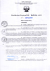 Vista preliminar de documento RD Nº 0208 