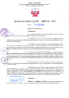 Vista preliminar de documento RD Nº 0210 