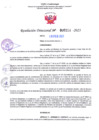 Vista preliminar de documento RD Nº 0211