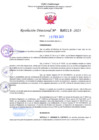 Vista preliminar de documento RD Nº 0213 