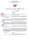 Vista preliminar de documento RD Nº 0215