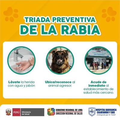 TRIADA PREVENTIVA DE LA RABIA