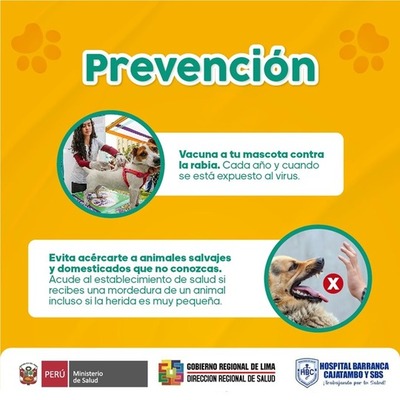 PREVENCION