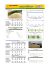 Vista preliminar de documento Boletín de abastecimiento y precio del ARROZ - 23/10/23