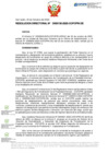 Vista preliminar de documento RD Nº D000130-2023-DE