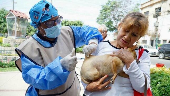 VanCan: Más de 123 000 canes vacunados contra la rabia canina en Lima centro