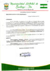 Vista preliminar de documento Resolucion de Alcaldia 119