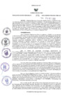Vista preliminar de documento RES-871-2023-GR