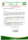 Vista preliminar de documento Resolucion de Alcaldia 372