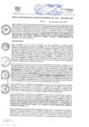Vista preliminar de documento RGG N849