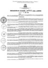 Vista preliminar de documento ra2012022ampmn