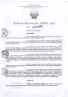 Vista preliminar de documento RD Nº000251 