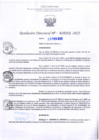Vista preliminar de documento RD Nº000252