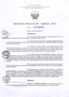 Vista preliminar de documento RD Nº000254 