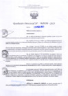 Vista preliminar de documento RD Nº000256