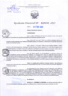 Vista preliminar de documento RD Nº000258 