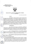 Vista preliminar de documento RUAF 102-2023-PRONIS