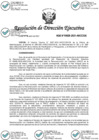 Vista preliminar de documento RDE 00029-2021-ARCC-DE