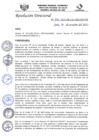 Vista preliminar de documento R.D.N°522-2023-HGJ-DE