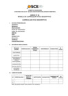 Vista preliminar de documento Anexo N° 06 - Modelo de Currículum Vitae Descriptivo del Concurso de CAS N° 100-2023/PUERTO MALDONADO-TEMPORAL