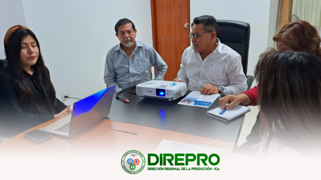 Junto al equipo de la Sub Dirección de Industrias de la DIREPRO ICA sostuvieron una reunión de trabajo con 3 entidades