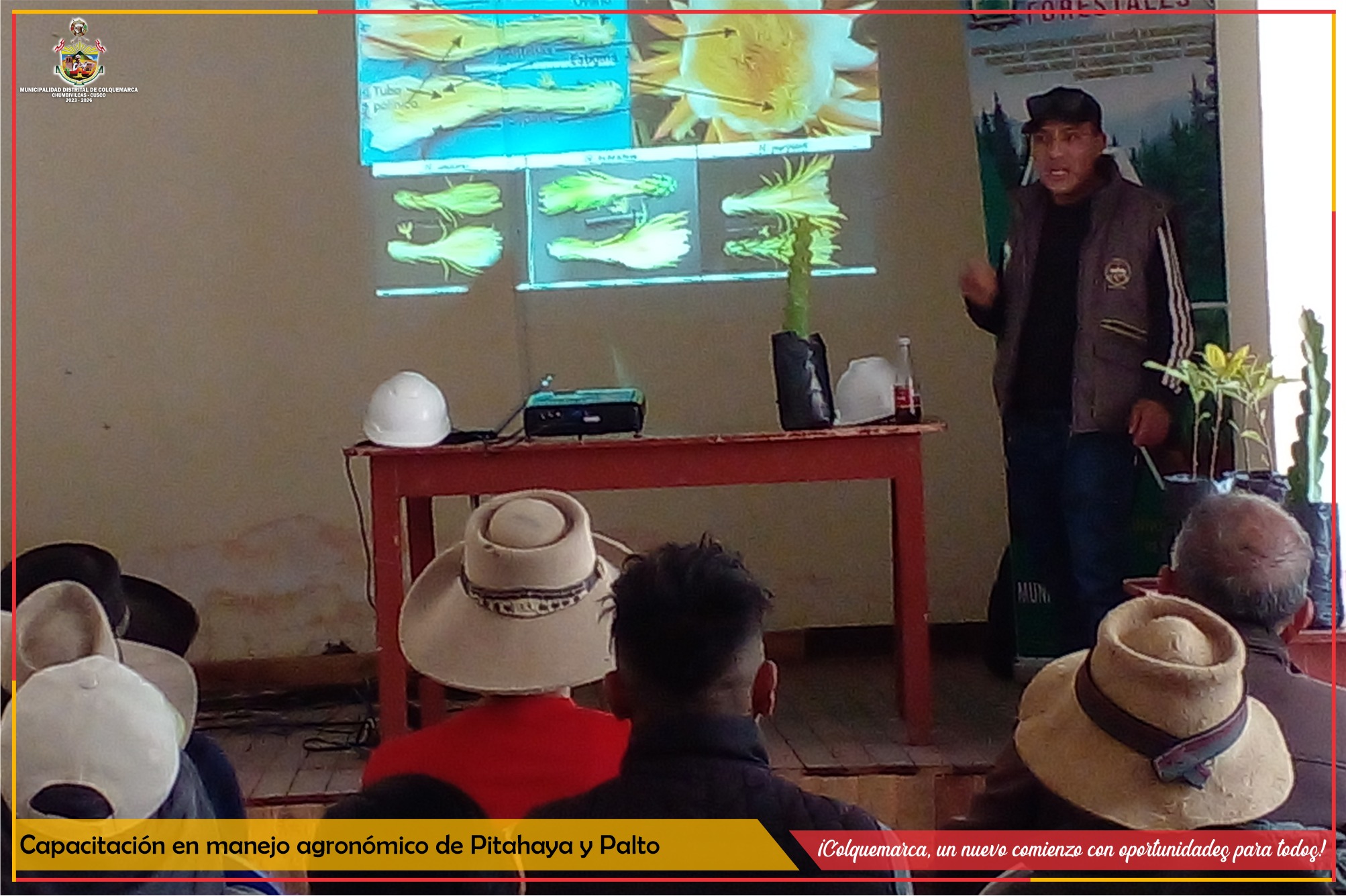 La Municipalidad Distrital de Colquemarca, por medio de la Gerencia de Desarrollo Economico Local, mediante el proyecto "RECUPERACIÓN DE ECOSISTEMAS DEGRADADOS A TRAVES DE ESTABLECIMIENTO DE PLANTACIÓN PROTECTORAS - PRODUCTORAS Y MANEJO DE SUCESIÓN NATURAL EN LAS COMUNIDADES CAMPESINAS DEL DISTRITO DE COLQUEMARCA", desarrolló exitosamente la capacitación especializada en el manejo agronómico de los cultivos de Pitahaya y Palto.
La Pitahaya y la Palta, dos frutos de gran demanda tanto a nivel nacional como internacional debido a sus altos precios y beneficios para la salud, fueron el centro de atención en esta iniciativa. El evento, titulado "Manejo Agronómico del Cultivo de Palto" y "Manejo Agronómico del Cultivo de Pitahaya", tuvo lugar el pasado 05 de agosto del 2023 en el Centro Poblado de Charamuray y estuvo dirigido a agricultores y habitantes de la Comunidad Campesina de Charamuray.
Más de 50 miembros de la comunidad respondieron al llamado de este importante proyecto que busca promover e incentivar el cultivo de la Palta y la Pitahaya en las quebradas del Distrito de Colquemarca. Durante la capacitación, los participantes tuvieron la oportunidad de aprender de expertos en el campo agronómico. El Ing. Samuel Domínguez Pfoccori, Residente del Proyecto, y el especialista en Cultivo de Pitahaya, el Ing. Oscar Llamocca Huisa, compartieron sus conocimientos y experiencias con entusiasmo.
La Municipalidad Distrital de Colquemarca agradece a todos los participantes y colaboradores por hacer posible esta valiosa capacitación, que sin duda contribuirá al desarrollo sostenible de la región y al fortalecimiento de la agricultura local. Continuaremos trabajando juntos para impulsar el crecimiento de nuestra comunidad y la prosperidad de nuestros agricultores.
¡Colquemarca, un nuevo comienzo con oportunidades para todos!
Prof. Santos Oviedo Ataucuri - Alcalde
Gestión 2023 - 2026



