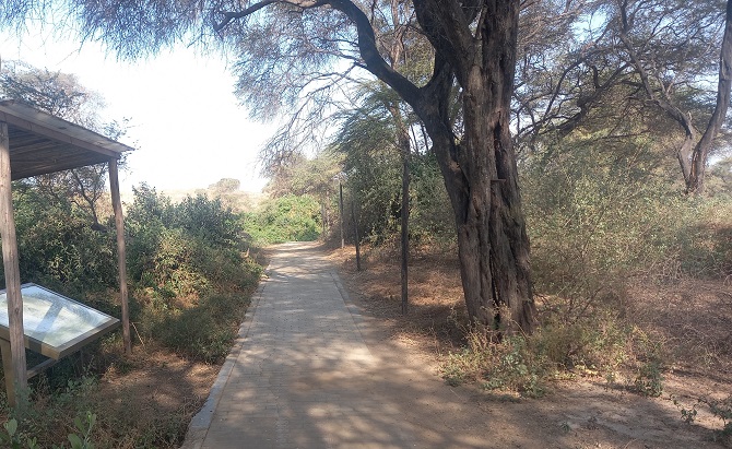 Proyecto mejorará las condiciones de los caminos desde el museo hasta Huaca Las Balsa