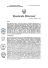 Vista preliminar de documento RD N° 357-2023-DG-INMP/MINSA