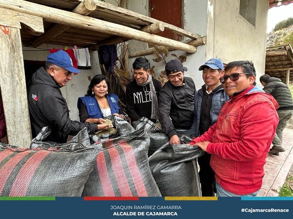 La gestión liderada por el alcalde Joaquin Ramírez Gamarra, viene desarrollando el proyecto “Mejoramiento e instalación de pastos cultivados para el desarrollo ganadero en los distritos de la provincia de Cajamarca” contribuyendo a aumentar y mejorar la productividad de pastos cultivados con la instalación de 72 hectáreas de Rye Grass Ecotipo cajamarquino mas Trébol Blanco, y 9 hectáreas alfalfa, que servirán para la adecuada alimentación del ganado, mejorando la producción y productividad pecuaria, por ende, incrementar los ingresos económicos de las familias de la zona rural y así contribuir al desarrollo de Cajamarca.
🤝Los beneficiarios de los caseríos, La Colpa, Masma y El Progreso del distrito de Namora, agradecieron el apoyo recibido.