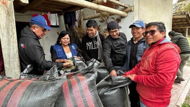 La gestión liderada por el alcalde Joaquin Ramírez Gamarra,  viene desarrollando el proyecto “Mejoramiento e instalación de pastos cultivados para el desarrollo ganadero en los distritos de la provincia de Cajamarca” contribuyendo a aumentar y mejorar la productividad de pastos cultivados con la instalación de 72 hectáreas de Rye Grass Ecotipo cajamarquino mas Trébol Blanco, y 9 hectáreas alfalfa, que servirán para la adecuada alimentación del ganado, mejorando la producción y productividad pecuaria, por ende, incrementar los ingresos económicos de las familias de la zona rural y así contribuir al desarrollo de Cajamarca. 
🤝Los beneficiarios de  los caseríos, La Colpa, Masma y El Progreso del distrito de Namora, agradecieron el apoyo recibido.