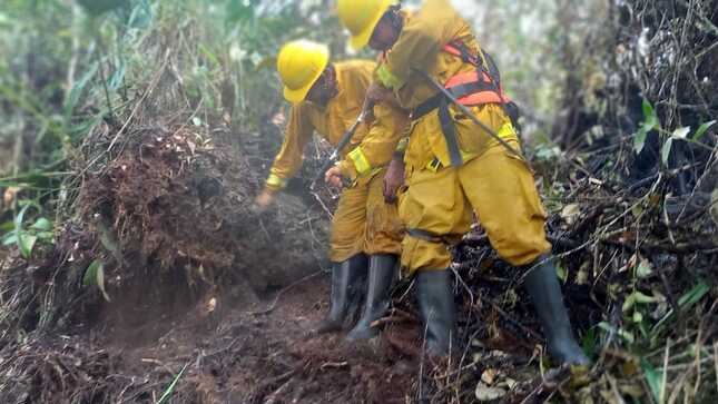 Incendio Cordillera Azul